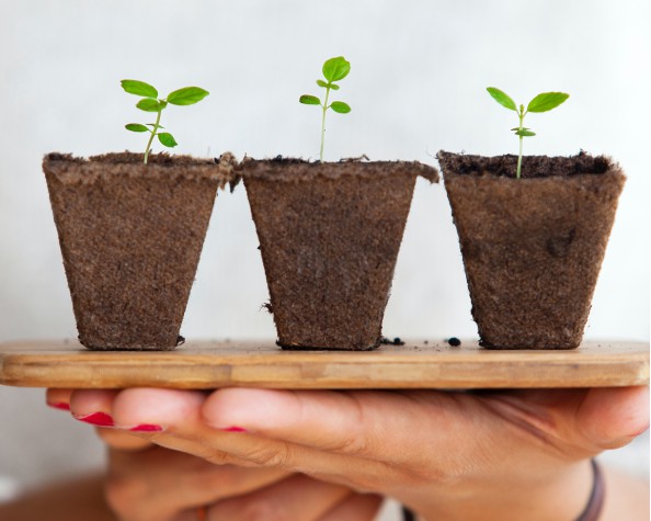 Nam nec rhoncus estу