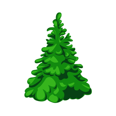 Ялина колюча  f. glauca (зелена)